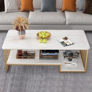 Modern Coffee Table with Storage Shelf, Marble Finish Top, Gold Metal Frame, Rectangular Design for Living Room (White/Gold, L100 * W48 * H51)