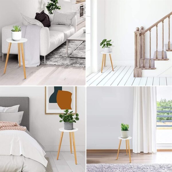 Emirates Living Indoor Plant Stand – Rotatable & Removable Flower Pot Holder for Living Room & Balcony | Stylish Floor-Standing Metal Frame for Home & Garden Decor - Image 4